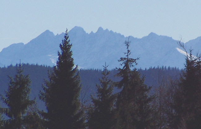 Widok na Tatry podczas schodzenia z Krzystonowa